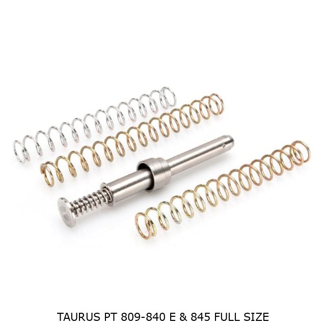 Taurus PT 809-840 E & 845 Full Size